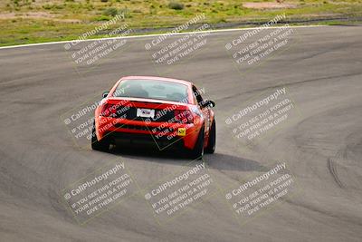 media/Feb-25-2024-Speed Ventures (Sun) [[b9a2a97a4d]]/Mustang Drivers Club/Session 1 (Turns 4 and 5)/